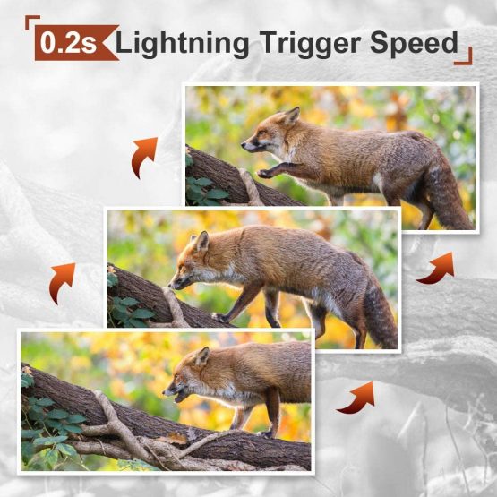 Crenova Trail Camera 4K Wildlife Camera Include 32GB SD Card 47 pcs 940nm IR LEDs and IP66 Waterproof Game Camera Motion Activated Night Vision Perfect for Wildlife Observation - Image 4