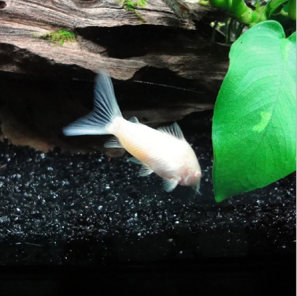 ZYMY Gorgeous aquarium decorated with aquarium decorations glass beads aquarium - Image 3