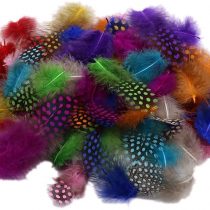 Kids B Crafty 100 Spotted Feathers spotted Craft Collage Feathers Millinery Pack FLY FISHING COLOURs