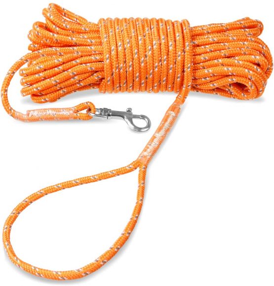 Joytale Long Training Lead for Dogs, 10M Reflective Dog Tie Out, Recall Nylon Rope Line for Small and Puppy Dog, Orange
