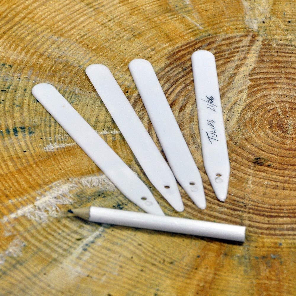 Kingfisher GSP202 Plant Labels and Pencil - White (Pack of 50), Transparent, 1.3x0.1x12.2 cm - Image 2