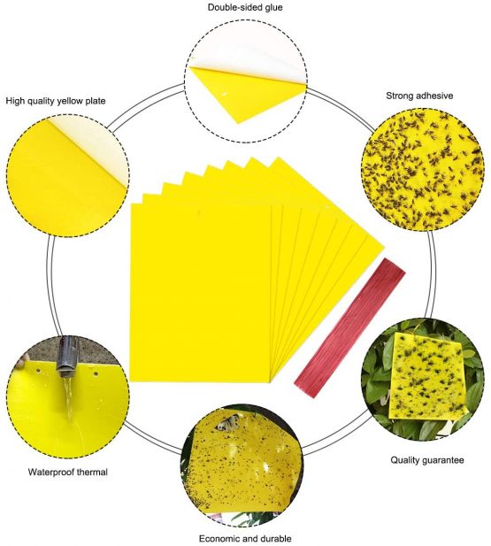 Vascinate 20PCS Yellow 20x15cm Dual-Sided Traps, Paper Stickers, Catcher Sticky Board for Flying Plant Insect Aphids, Leafminers (Included Twist Ties) - Image 4
