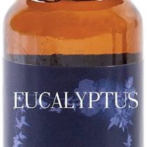 Mystic Moments | Eucalyptus Fragrance Oil - 10ml
