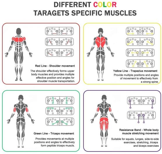 Yoophane Foldable 13 in 1 Muscle Board, Multifunction Home