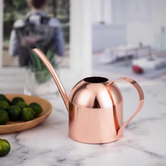 IMEEA 15oz/450ml Mini Watering Can Indoor for Kids House Desk Office Plants Bonsai Stainless Steel (Rose Gold) - Image 4