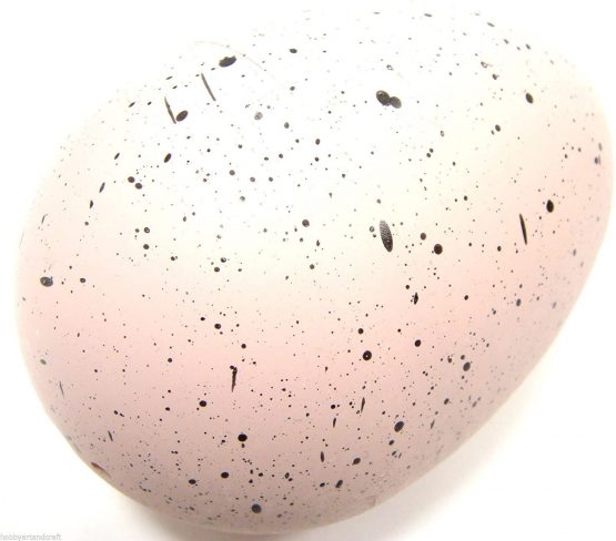 Dinosaur Egg Hatch & Grow In Water Childrens Water Dino Egg Magic Toy Grow Pet - Image 2