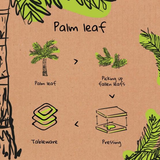 BIOZOYG Palmware leaf tableware I 25 pieces Palm Plate rectangular 25 x 25 cm I Bio Disposable Crockery Biodegradable Party tableware disposable tableware compostable - Image 2