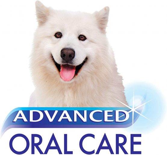 Nylabone Advanced Oral Care Dog Tartar Remover, 16 oz - Image 4