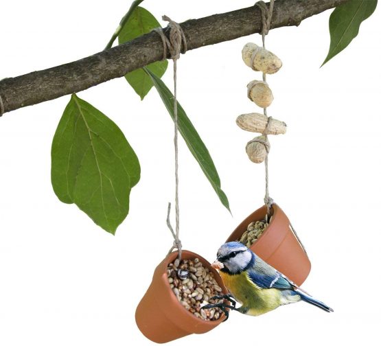 National Geographic Homemade Bird Feed, Brown - Image 2