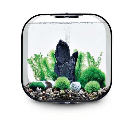 biOrb Decor Set 30L Stone Garden - Image 4