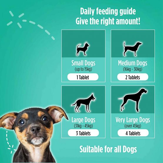 Monbelle Dog Digestive Health Supplements - Helps Digestive Disorders, Diarrhoea and Loose Stools in Dogs All Ages & Breed - Keeps Canine Solid Stools Vet Endorsed - 60 Tablets UK Manufactured - Image 4