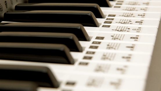 AccuKeys Keyboard & Piano Note Guide Stickers - Image 3