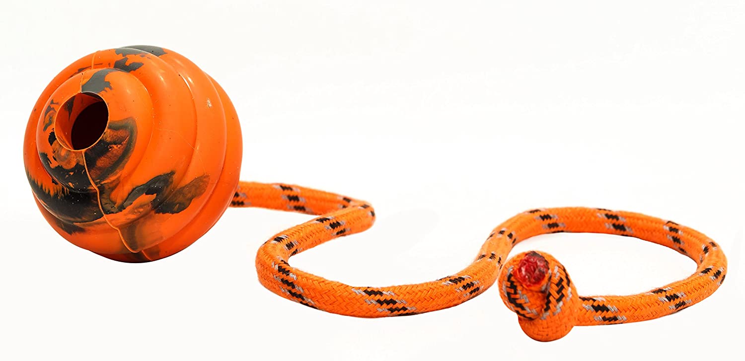 PlayfulSpirit Durable Natural Rubber Ball on a Rope, Perfect Dog Training, Exercise and Reward Tool - Image 2