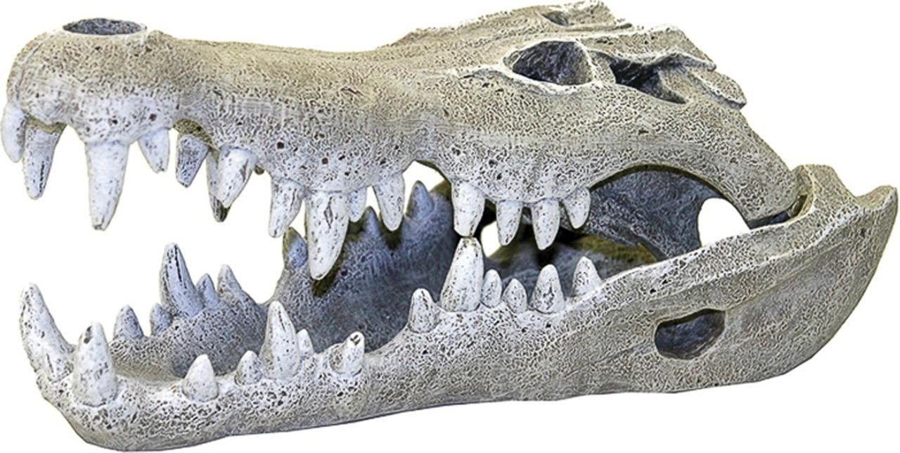 Blue Ribbon Rosewood Nile Crocodile Skull Aquarium Decor, Small, Gray, Grey