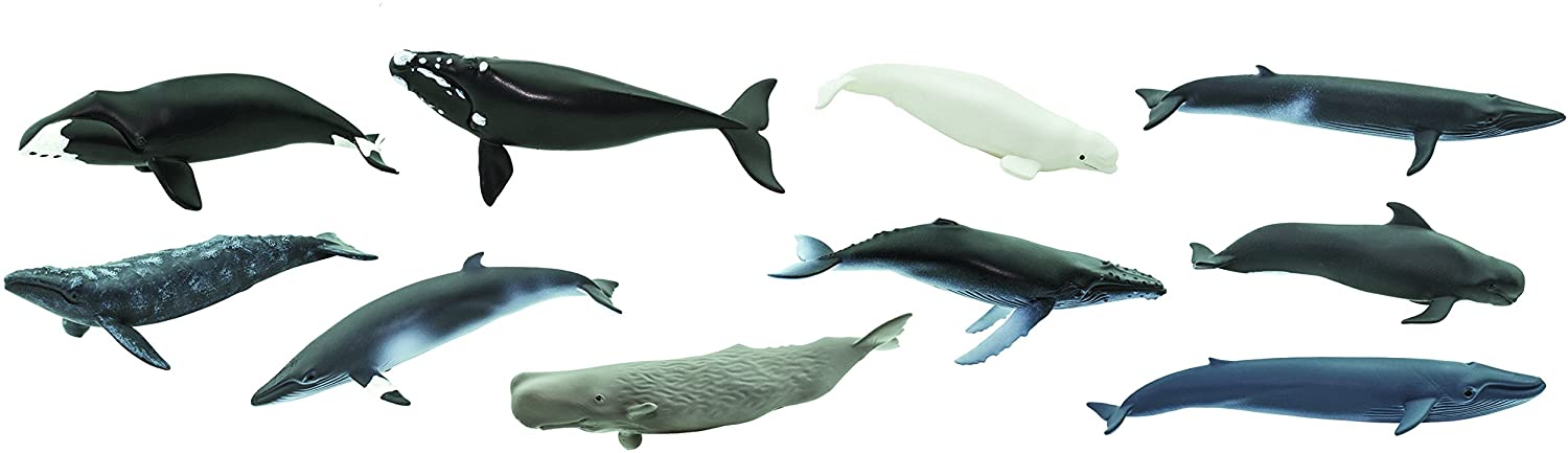 Safari 100072 Toobs Whales Miniature - Image 2
