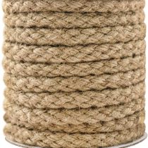 tenn well Braided Hemp Rope, 11mm Thick Jute Twine String for DIY Cat Scratch Post, Gardening Bundling Craft Decoration (Brown)