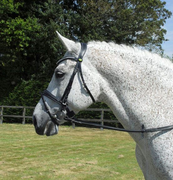 Rhinegold Anatomic Bridle - Full - Black - Image 2