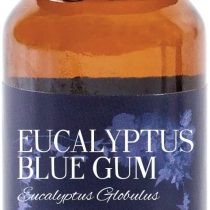 Mystic Moments | Eucalyptus Blue Gum Essential Oil - 10ml - 100% Pure