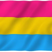 Anley Fly Breeze 3x5 Foot Pansexual Pride Flag - Vivid Color and UV Fade Resistant - Canvas Header and Double Stitched - Omnisexual LGBT Flags Polyester with Brass Grommets 3 X 5 Ft