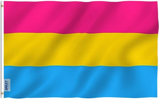 Anley Fly Breeze 3x5 Foot Pansexual Pride Flag - Vivid Color and UV Fade Resistant - Canvas Header and Double Stitched - Omnisexual LGBT Flags Polyester with Brass Grommets 3 X 5 Ft