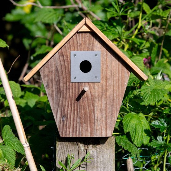 Simply Hardware Satin Stainless Steel Bird Box Protector/Nest Box Protection Plate - 70 x 70mm - 25mm Hole