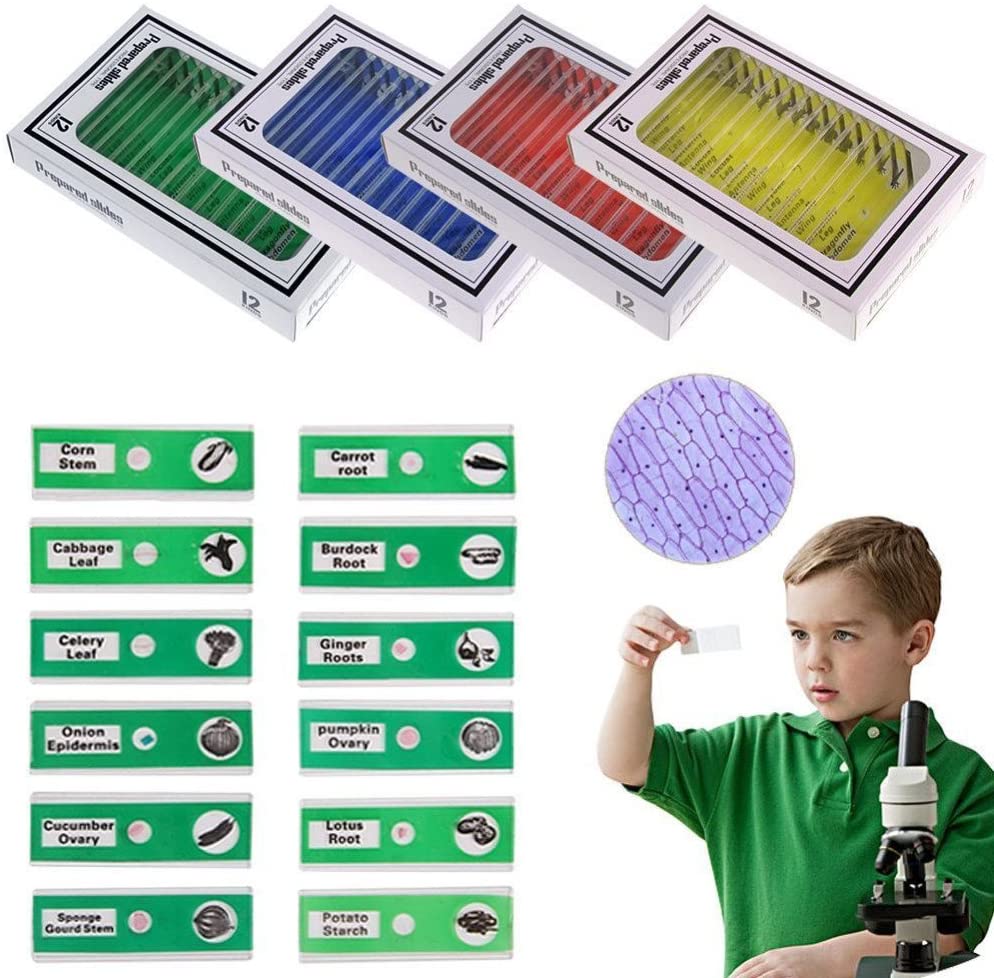 Kids Microscope Prepared Slides - Image 3