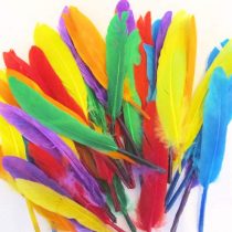 Kids B Crafty Craft Feathers, Quill Feathers, Assorted Colours, 40pcs x 14cm, Art, Crafts, Collage, Fly Fishing Dress Up Hats
