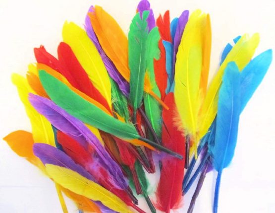 Kids B Crafty Craft Feathers, Quill Feathers, Assorted Colours, 40pcs x 14cm, Art, Crafts, Collage, Fly Fishing Dress Up Hats