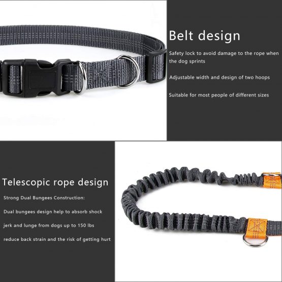 Mystery Hand Free Dog Lead, Dog Walking Belt Ajustable Dog Leash Waist Belt Pet Dog Leash Coupler Running and Jogging Lead Belt with Retractable Bungee, Reflective Stitching for up 110lbs Dogs - Image 3