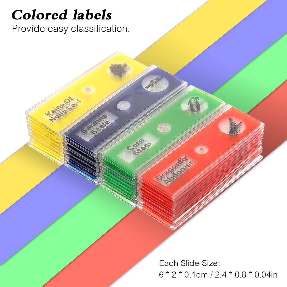 Kids Microscope Prepared Slides - Image 4