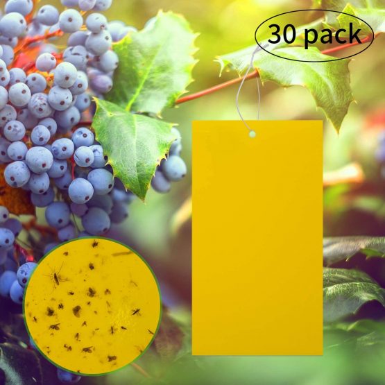 LUTER 30-Pack Dual-Sided Yellow Sticky Traps for Flying Plant Insect Like Fungus Gnats, Flying Aphid, Whiteflies, Leaf Miners, Other Flying Plant Insects (4X8 Inches, 30pcs Twist Ties Included)