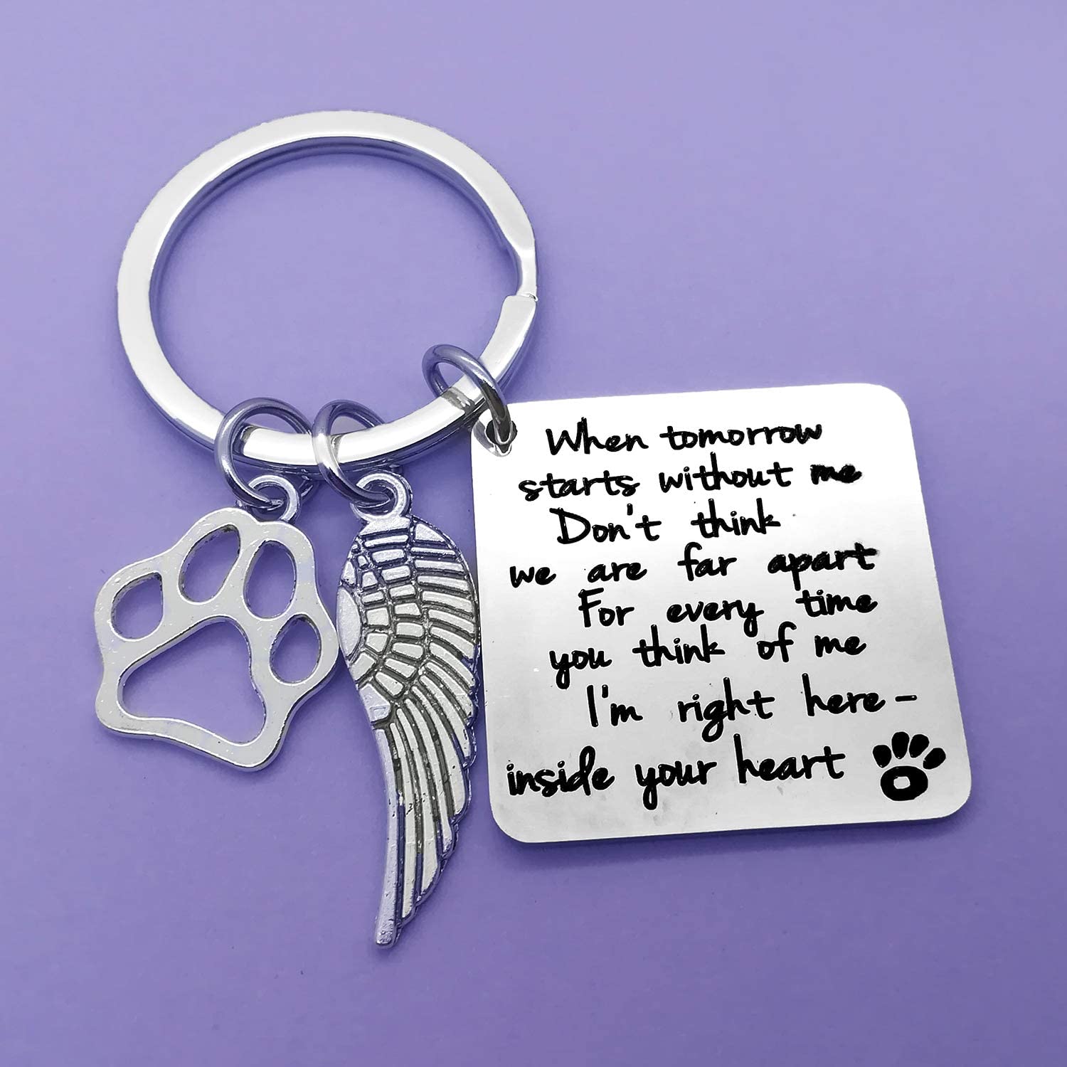 Dabihu Loss of Pet Keychain Pet Memorial Keychain Keyring Pet Family Dog Family Cat Family Pet Keychain Key Ring Pet Sympathy Gift for Pet Lover Dog Cat Keychain - Image 2