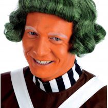 Fun Shack Mens Chocolate Factory Worker Wig Adults Green Costume Accessory