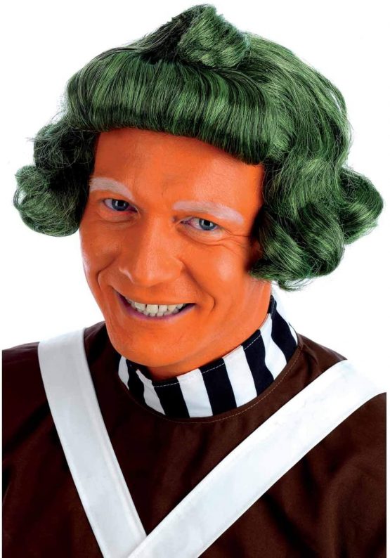 Fun Shack Mens Chocolate Factory Worker Wig Adults Green Costume Accessory