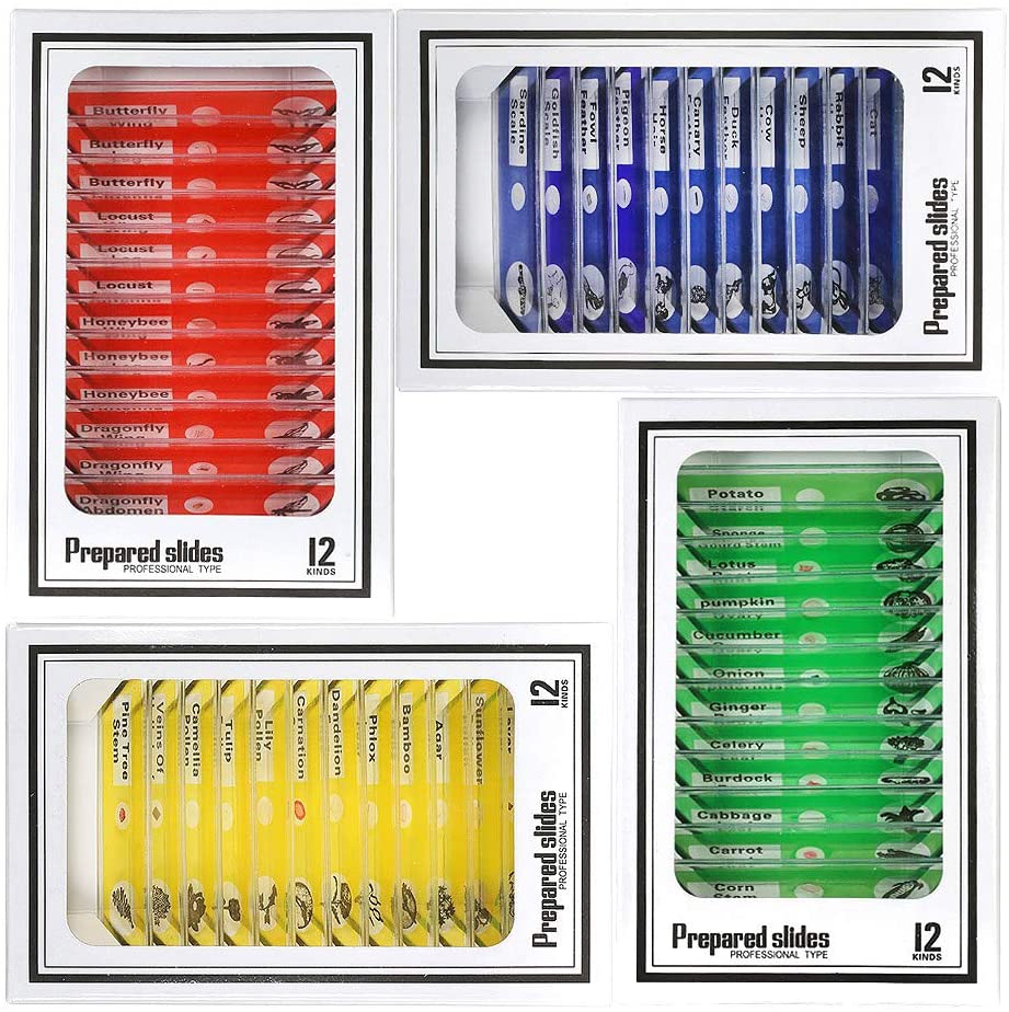 Kids Microscope Prepared Slides