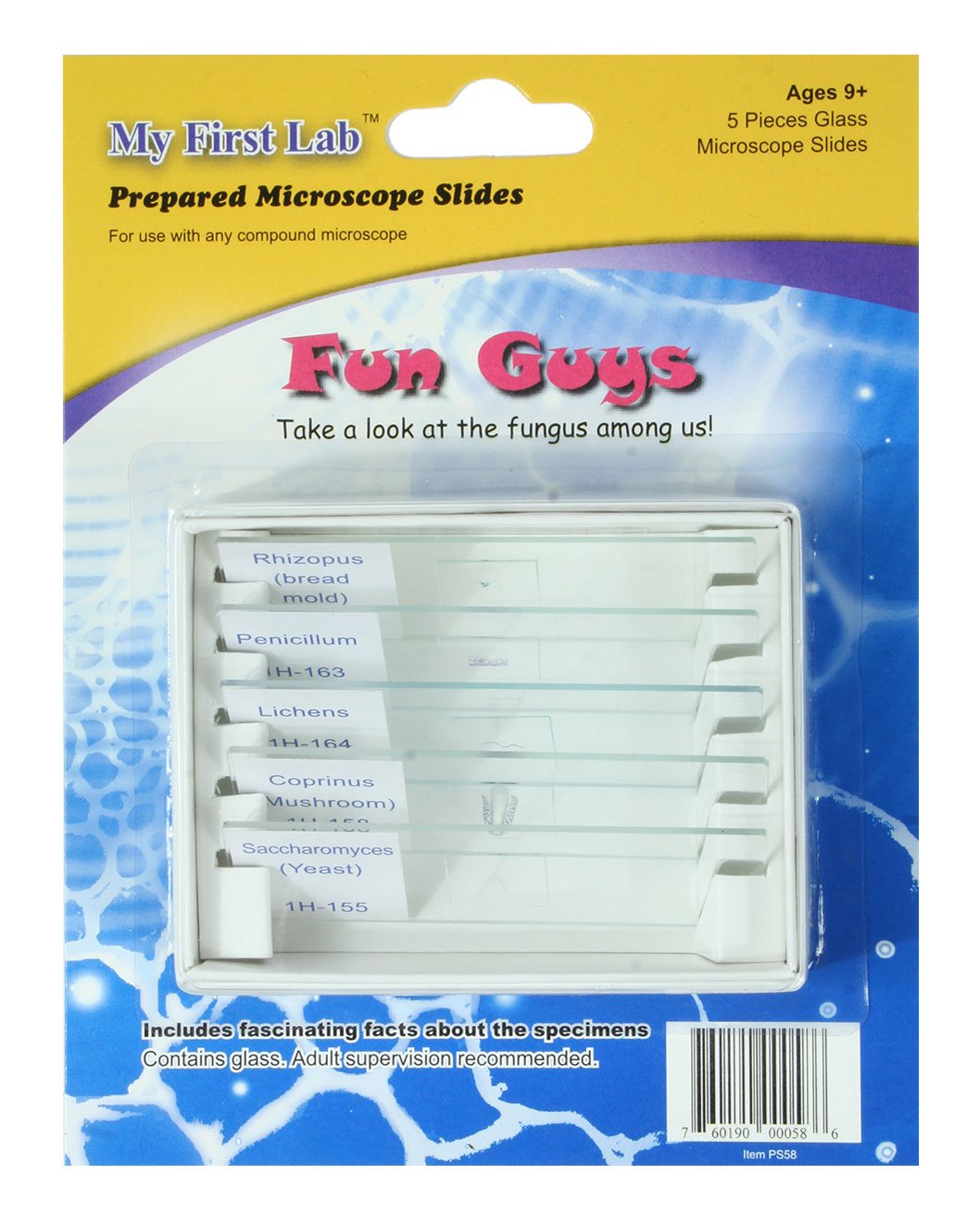 Microscope Slide Bug My First Lab Microscope Slides, Prepared Educational Sets for Kids, 40 ...