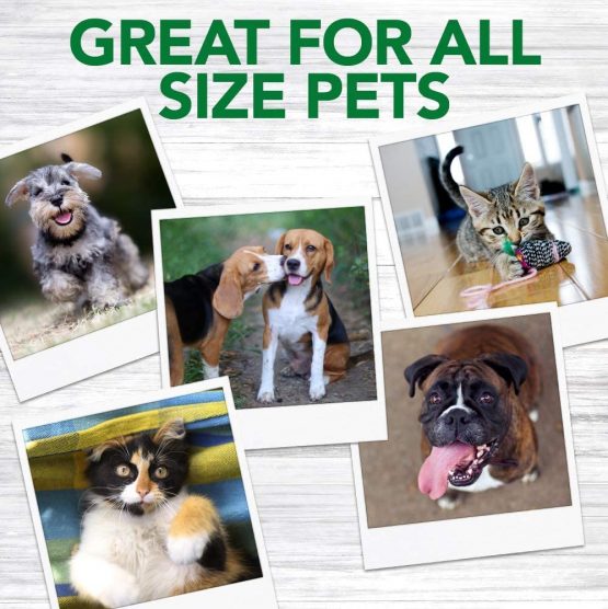 Vet's Best Natural Dental Powder for Dogs |Clean Teeth and Fresh Breath - 90 g - Image 4