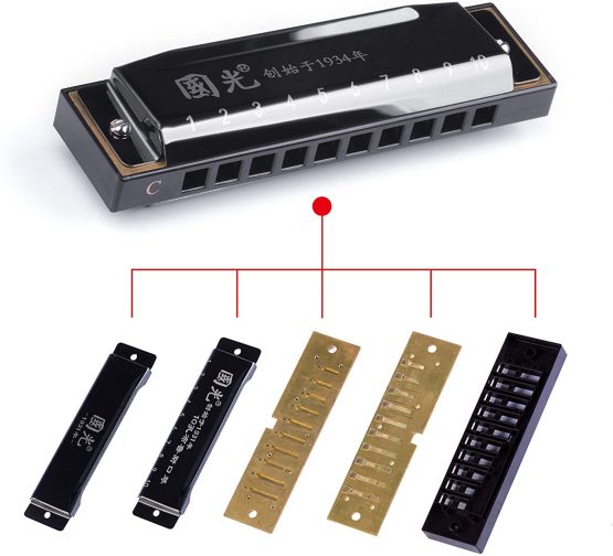 Rayzm Harmonica, 10 Holes 20 Tones Diatonic Harmonica, C key Blues Harp Harmonica for Adults & Children, Responsive Phosphor Bronze Reeds, Resin Comb - Image 3