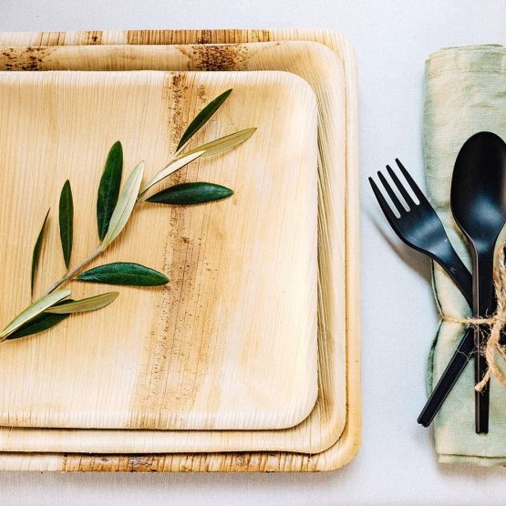 BIOZOYG Palmware leaf tableware I 25 pieces Palm Plate rectangular 25 x 25 cm I Bio Disposable Crockery Biodegradable Party tableware disposable tableware compostable - Image 3