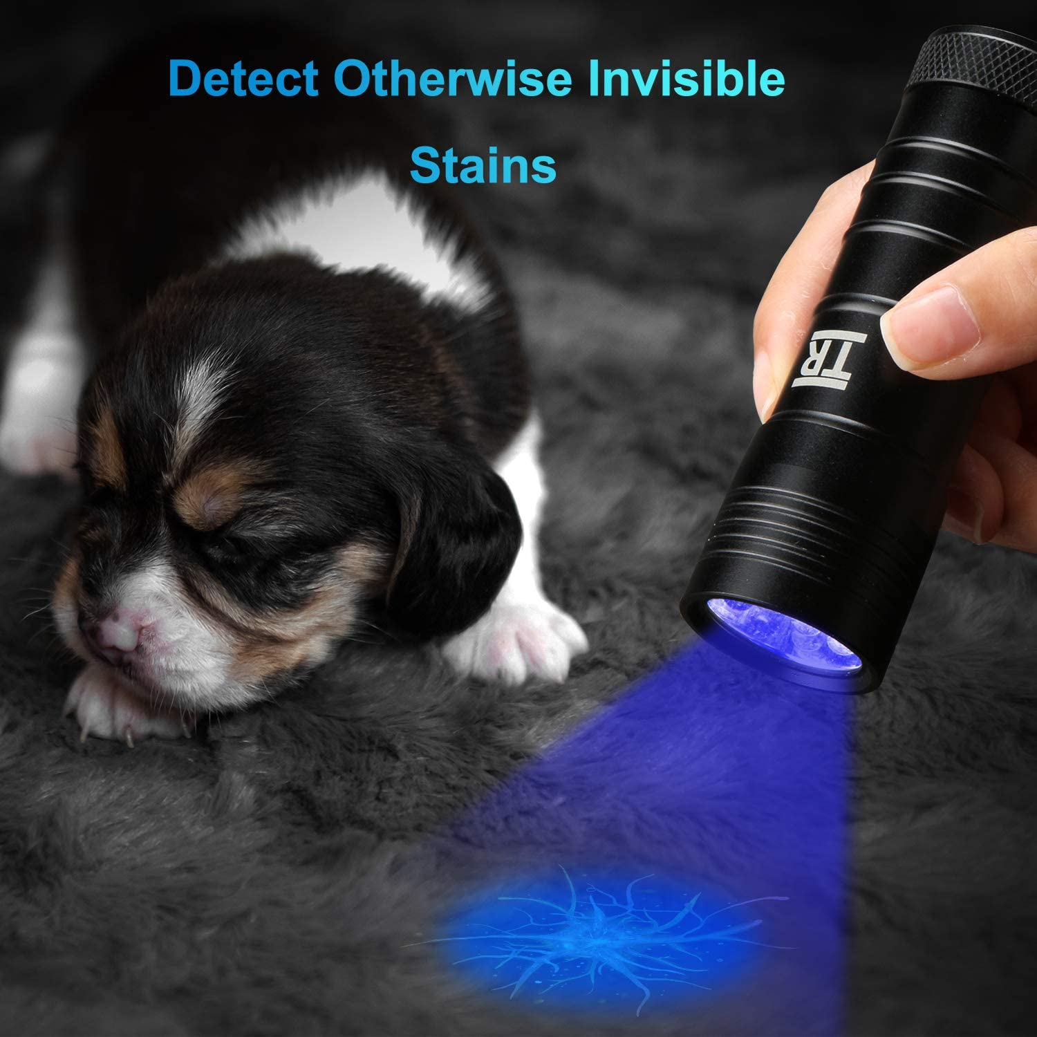 UV Torch, TechRise 12Led LED UV Flashlight Pets Blacklight Dogs/Cats