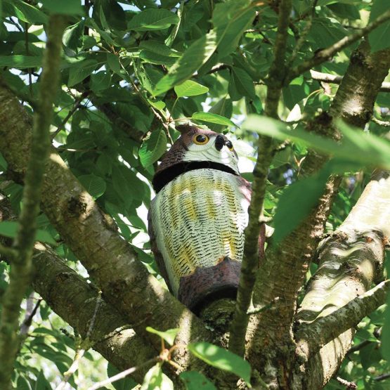 Defenders STV965 Wind-Action Owl, (Life-like Decoy Deterrent, Scares Birds From Gardens), Grey, One Size - Image 4