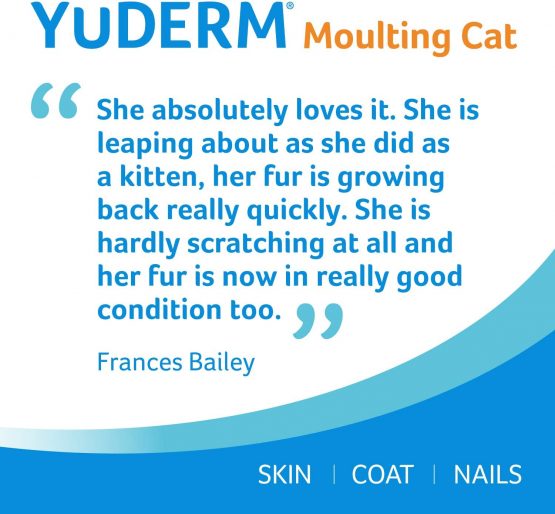 Lintbells | YuDERM Moulting Cat Formerly YuMEGA | Coat and Skin Supplement for Cats with Dry or Dull Coats, All Ages and Breeds | 50 ml Bottle - Image 4