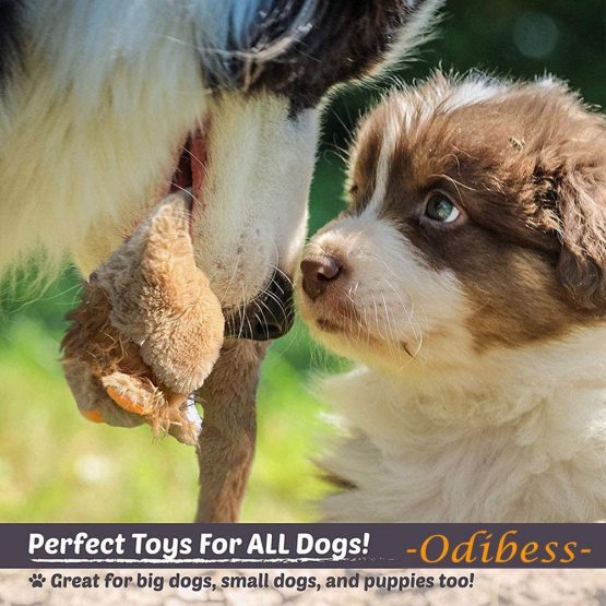 Newthinking Squeaky Dog Toys, 4 Pack No Stuffing Durable Plush Dog Squeaky Chew Toys Set for Puppy Small Medium Dogs Playing Making Fun - Image 4