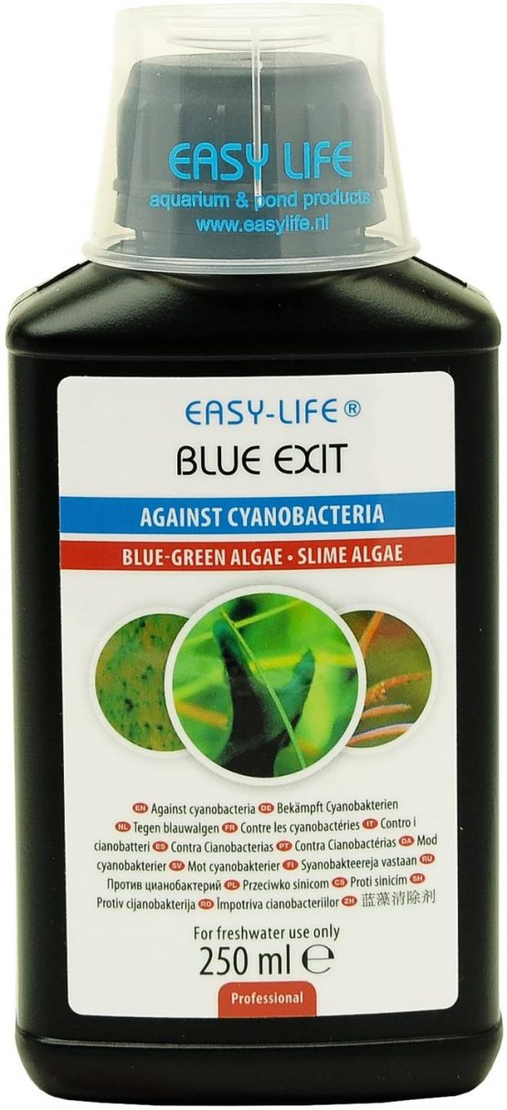 Easy Life Blue Exit, 250 ml