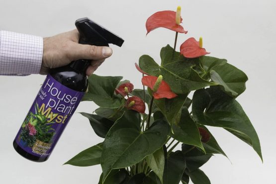 Houseplant Myst 750ml - Image 3