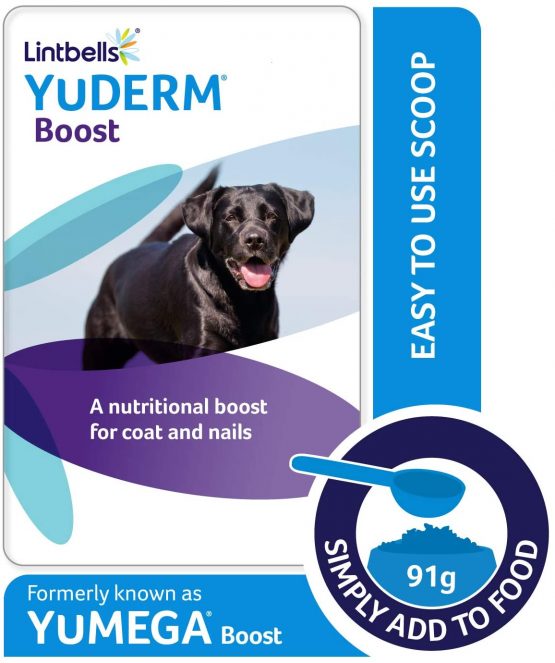 Lintbells | YuDERM Dog Boost Formerly YuMEGA | Nutritional Boost Supplement for Dogs Coat, Skin and Nails, All Ages and Breeds | 91 g Tub