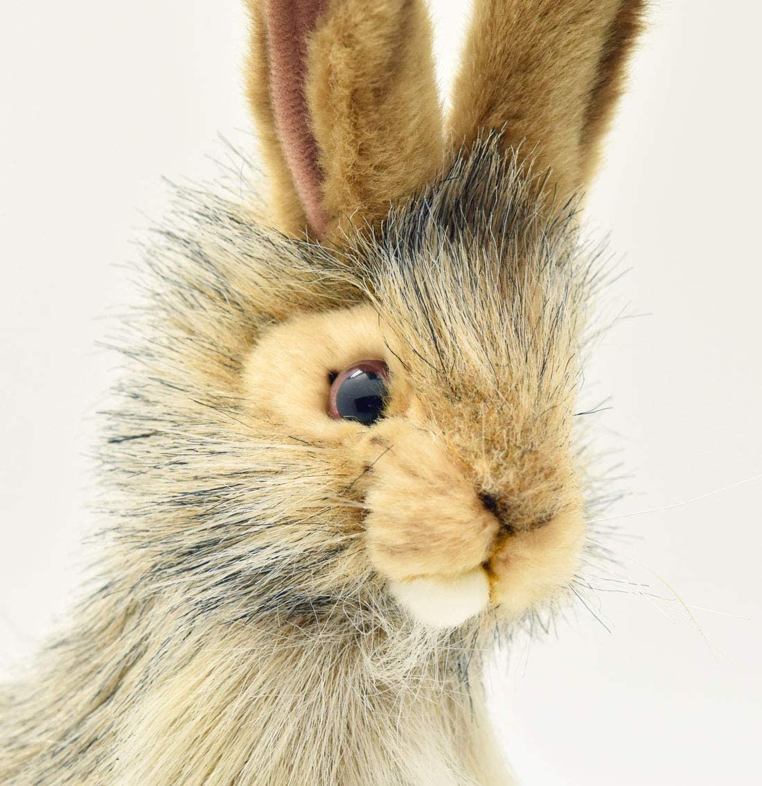 Black Tailed Rabbit Plush Soft Toy 23cm – BigaMart