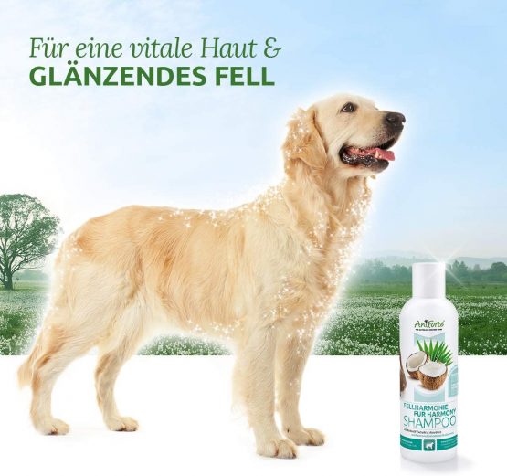 Aniforte Furharmony Dog Shampoo with coconut oil & aloe vera 200ml - Coconut Shampoo for vital skin, easy-to-comb & shiny coat, with natural ingredients - Image 3