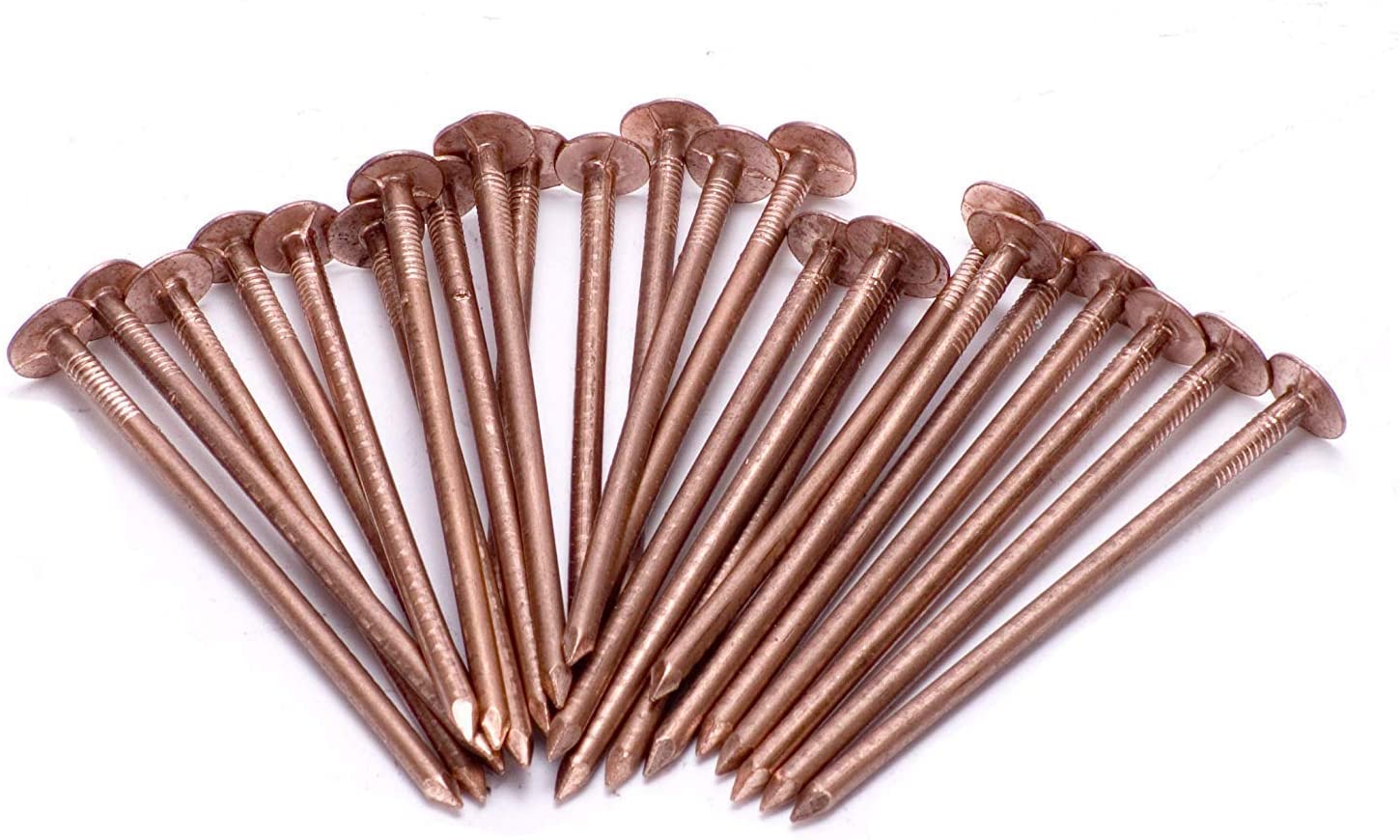 Copper Tree Stump Killer - 30xV.Large 75mm Copper Nails