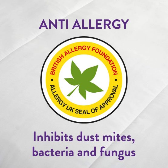 Slumberdown Anti Allergy Double Mattress Protector Double Bed Fitted - Image 2
